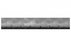 Push Rain Into Sound