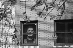 Frankenstein Lived on East Union